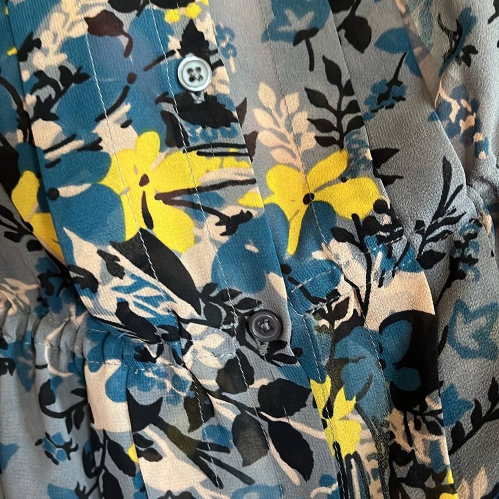 Ann Taylor Loft | MP | EUC | flutter sleeve | sheer | cinch waist - Picture 5 of 7